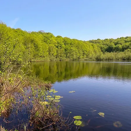 Daire Haus Moewe In - 9 Sellin (Rugen)