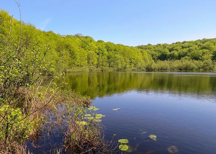 アパート Haus Moewe In - 9 ゼリン